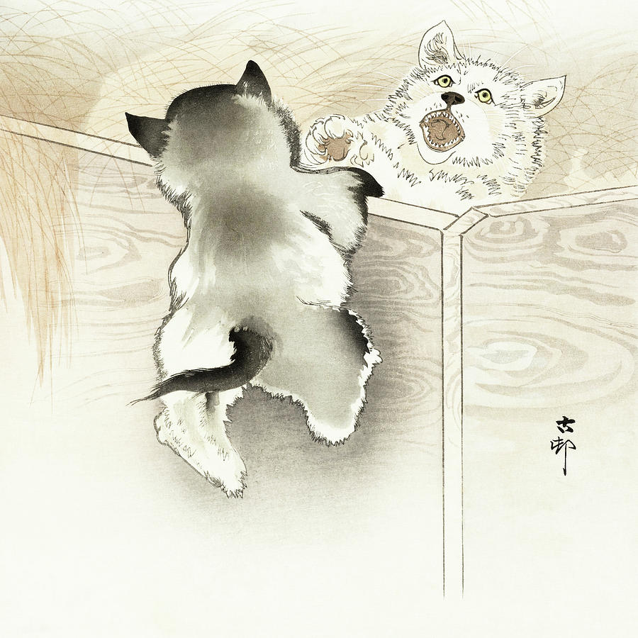Two playing dogs Painting by Ohara Koson