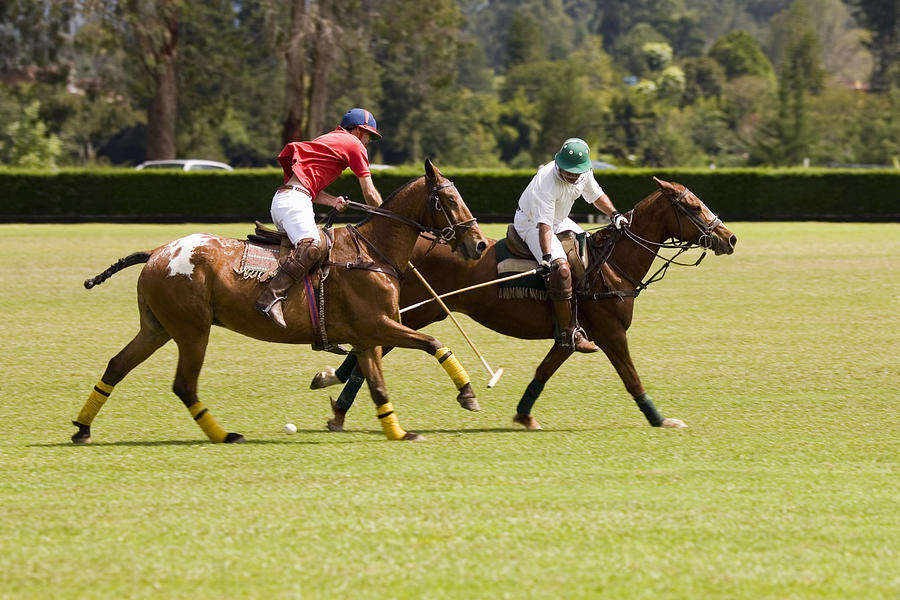 Two polo players playing polo Photograph by Glowimages