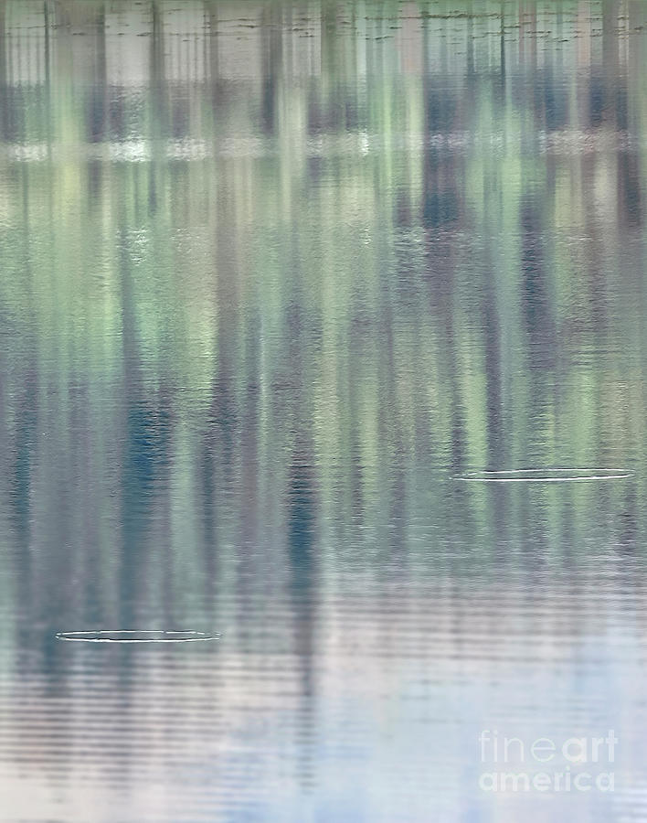 Two  Circles Rain Droplets, Dreamy Fairy Lake  Photograph by Tatiana Bogracheva