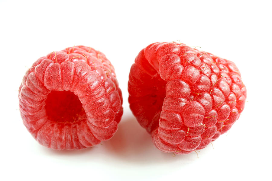 Two raspberries Photograph by Elisa Koor