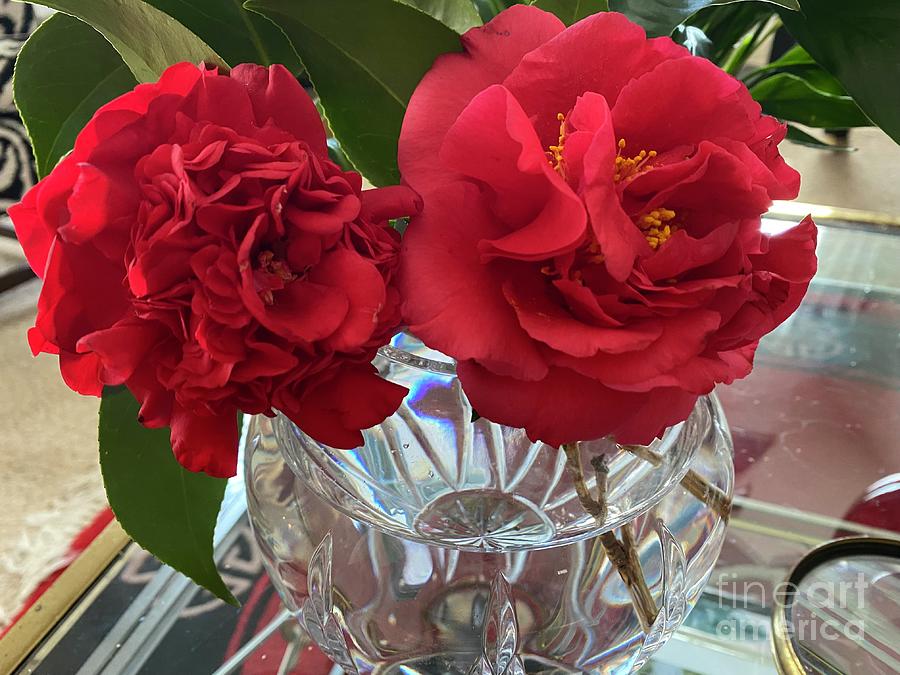 Two Red Camellia Japonicas in a Bacccarat Crystal Bow. Photograph by Catherine Ludwig Donleycott