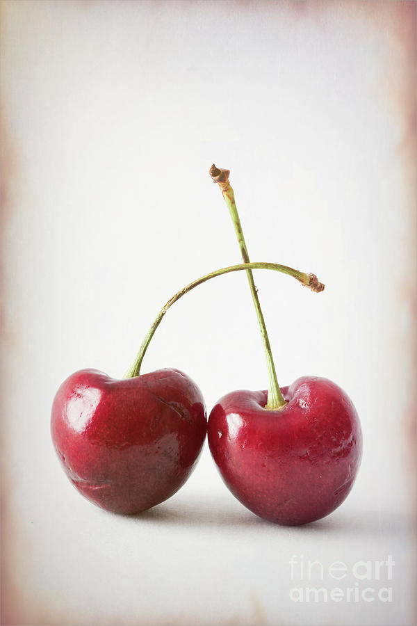 Two Red Cherries Photograph