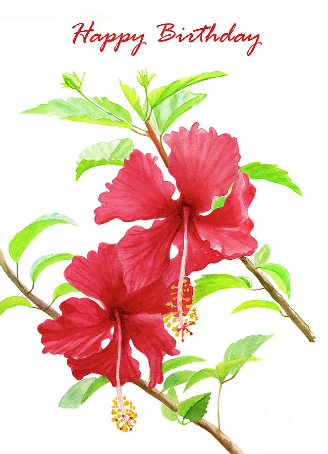 Two Red Hibiscus Flowers Birthday card 1 Painting by Sharon Freeman ...