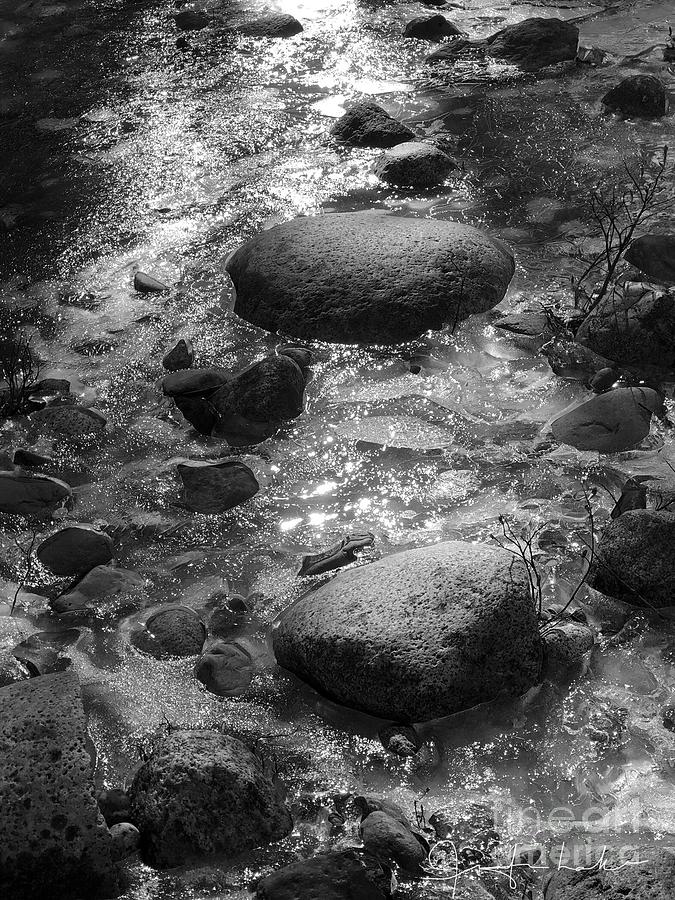 Two Rock Stream Photograph by Jennifer Lake