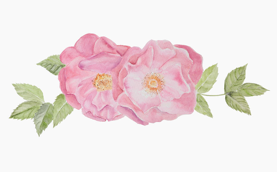 Two Roses Painting by Elizabeth Lock