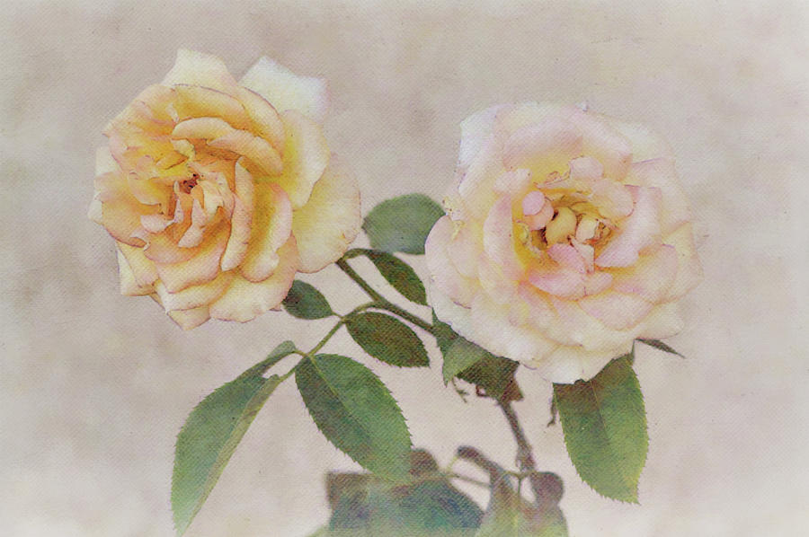 Two Roses Vintage Style Digital Art by Gaby Ethington