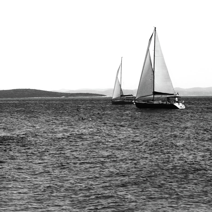 black and white sailboats