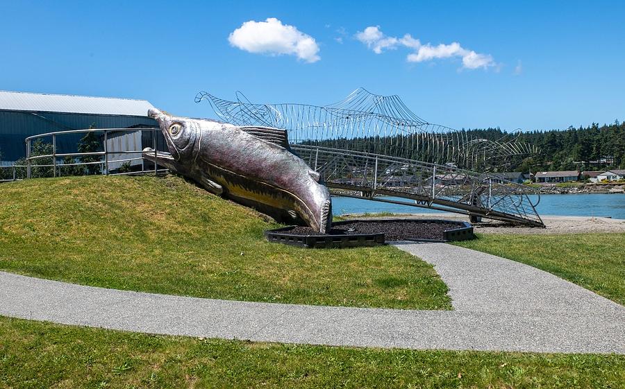 Two Salmon Playground at La Conner Photograph by Tom Cochran