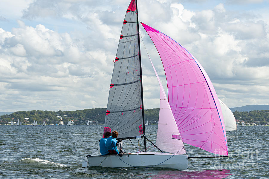 Two school kids sailing small sailboat with a fully deployed vibrant pink spinnaker. Photograph by Geoff Childs