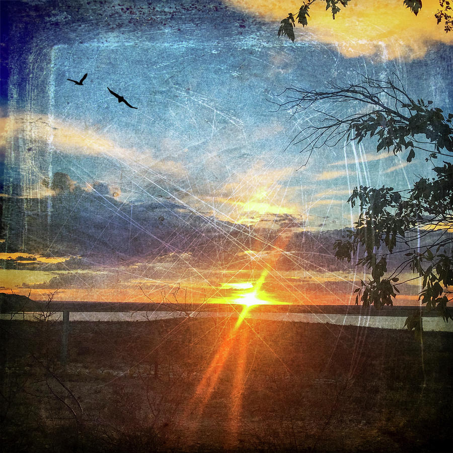 Two Souls Flying Off Into The Sunset  Digital Art by Debra Martz