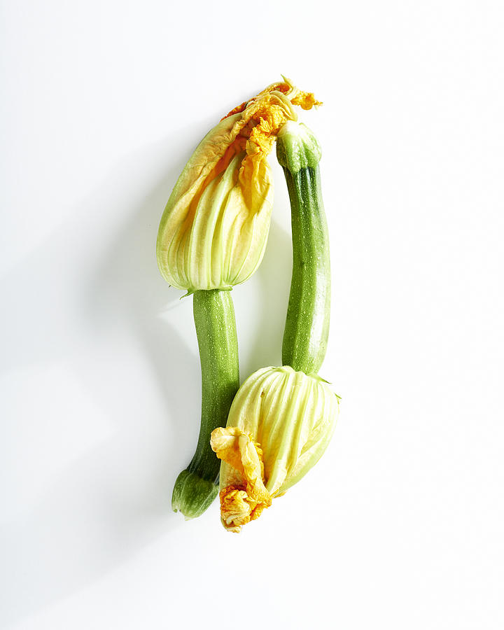 Two squash blossoms on white background. Photograph by Amy Neunsinger