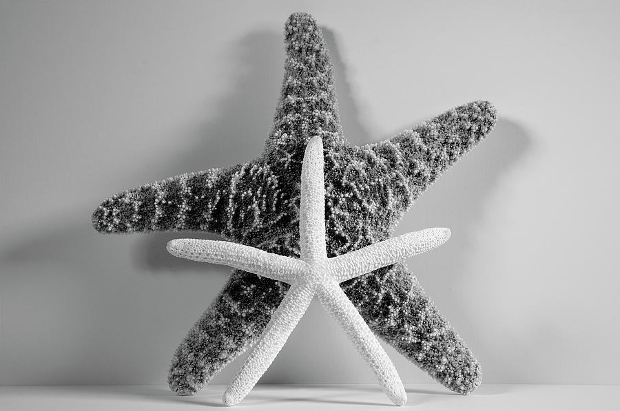 Two Starfish Photograph by Angie Tirado