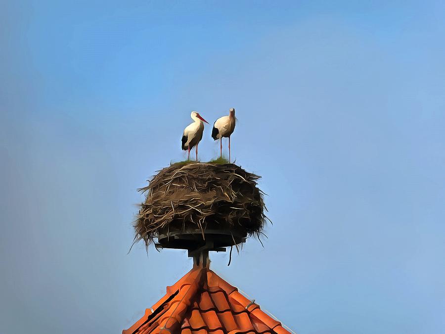 Two storks inspecting their nest Digital Art by Marina Kaehne