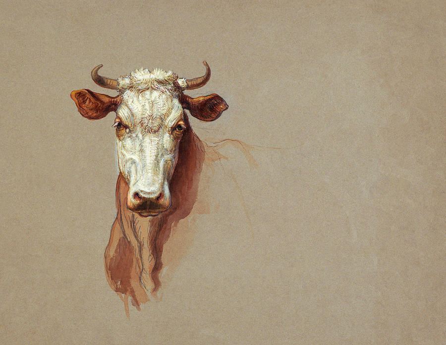 Wildlife Painting - Two Studies Cattle by Samuel Colman 1876 by Samuel colman