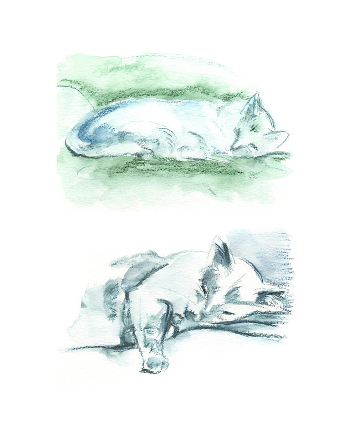 Two Studies of a Sleeping Cat Painting by Katherine Nutt