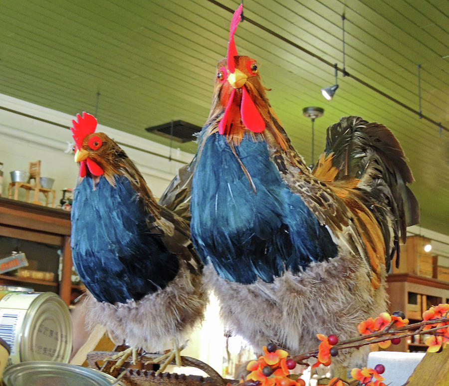 Two Stuffed Roosters Photograph By Marian Bell Pixels