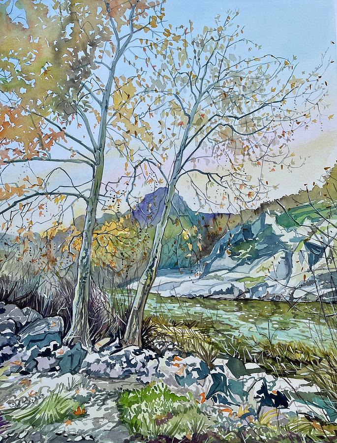 Two Sycamores By The Dam Painting