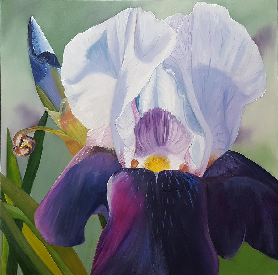Two Tone Iris Painting by Connie Rish