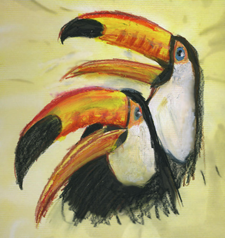 Two Toucans Drawing by Ed Meredith