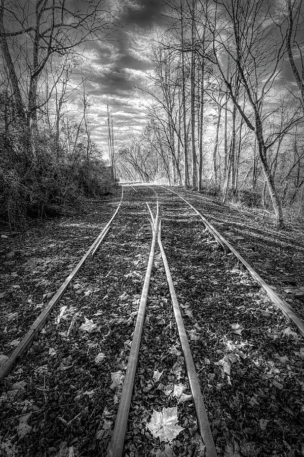 Two Tracks in Black and White Photograph by Debra and Dave Vanderlaan