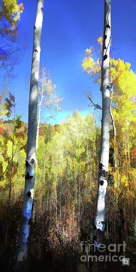 Two Trees in Aspen Digital Art by Deb Nakano