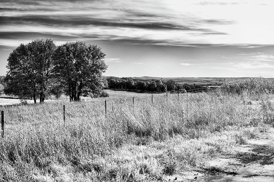 Two Trees - landscape photograph - black and white photograph Photograph by Ann Powell