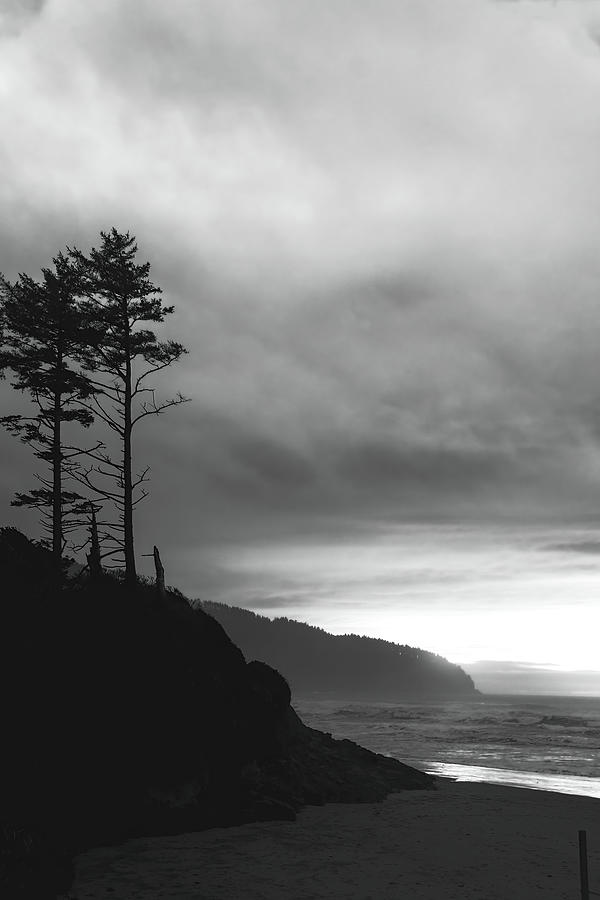 Two Trees Oregon Coast BW  Photograph by Cathy Anderson