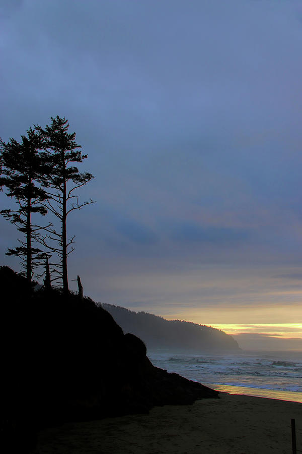 Two Trees Oregon Coast  Photograph by Cathy Anderson