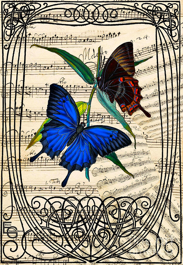 Two tropical butterflies, on a musical score framed in an art nouveau frame. Mixed Media by Elena Gantchikova