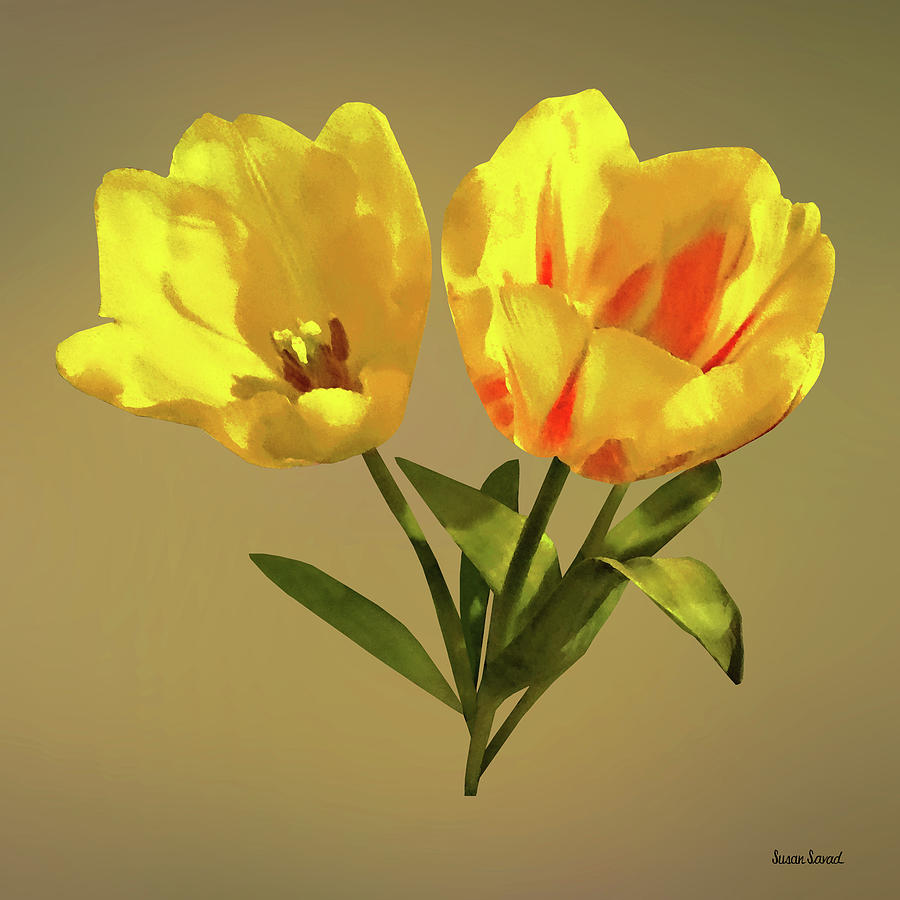 Two Tulips Photograph by Susan Savad