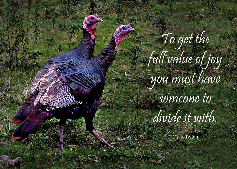 Inspirational Photograph - Two Turkeys and Twain by Nancy Griswold
