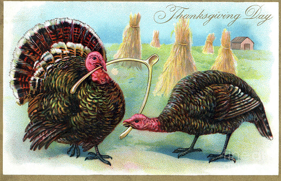 Two turkeys pulling on a wishbone.  Digital Art by Pete Klinger