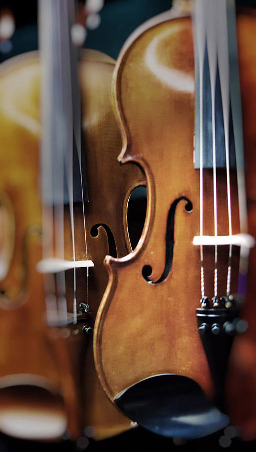 Two Violins Photograph by Sherry H. Bowen Photography