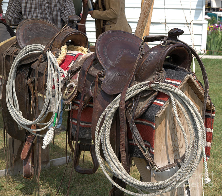 Rope Photograph - Two Well-worked Western Saddles by Kae Cheatham