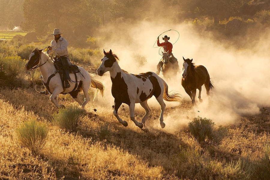 Two western cowboys riding horses, roping wild horses Digital Art by ...