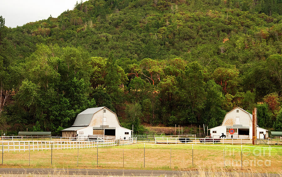 Two White Barns Photograph by Mary Jane Armstrong