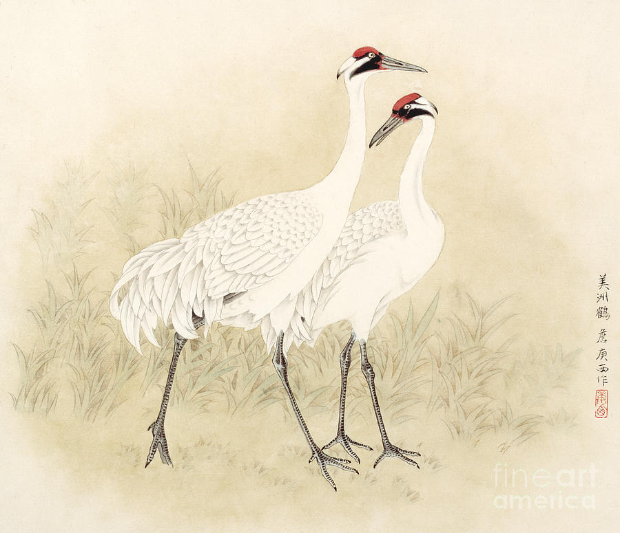 Two Whooping Cranes Painting by Zhan Gengxi