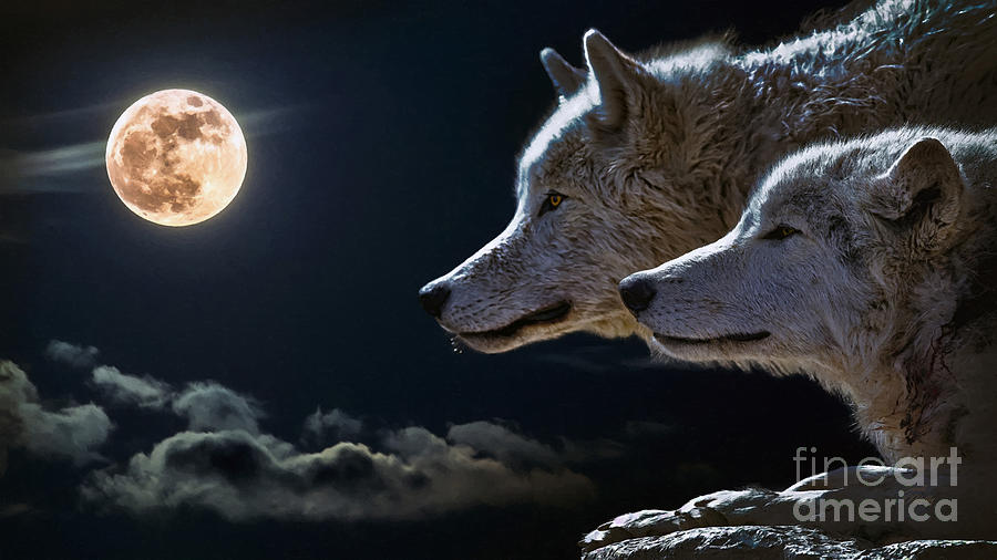 Two Wolves On the Mountain In Moonlight Mixed Media by Sandi OReilly