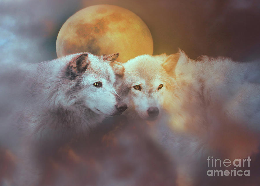 The Two Wolves Story (What it Really Means) - The Art of Healing