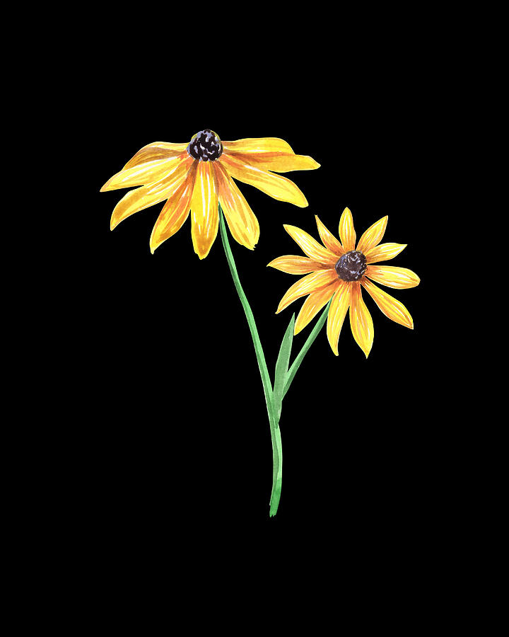 Two Yellow Black Eyed Susan Flowers Floral Art Minimalism PNG  Painting by Irina Sztukowski