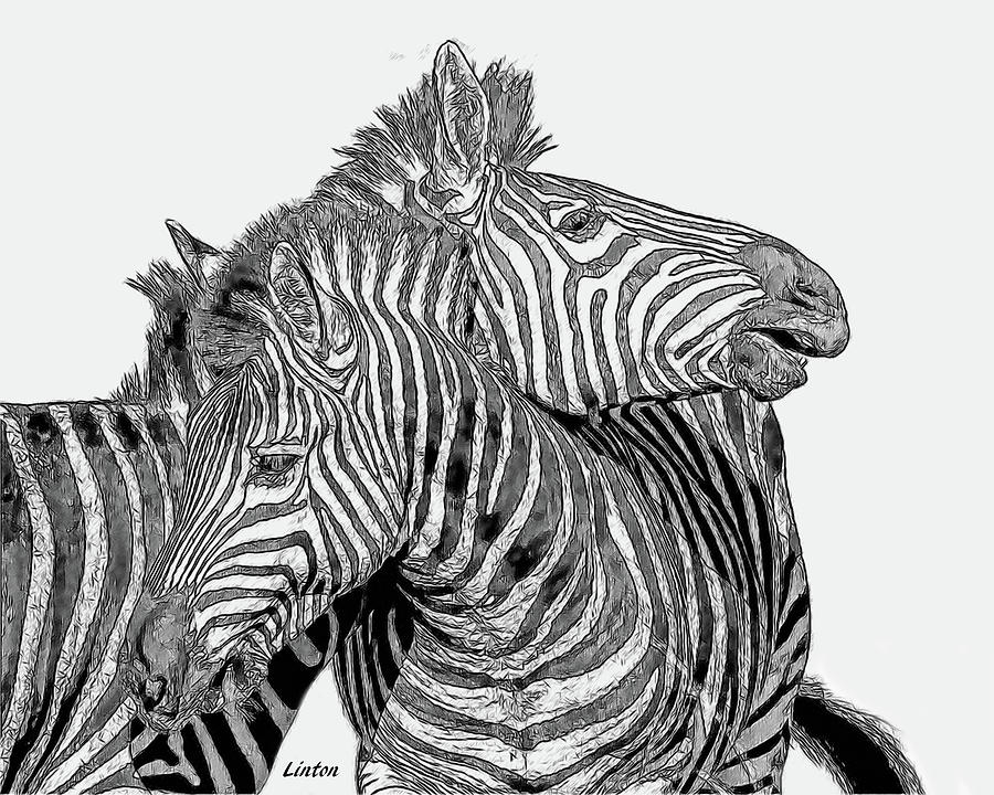Two Zebras Digital Art by Larry Linton