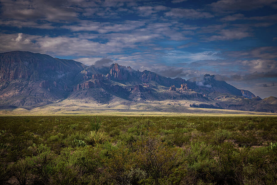 Tx-223758 Photograph by Tom Weisbrook - Fine Art America