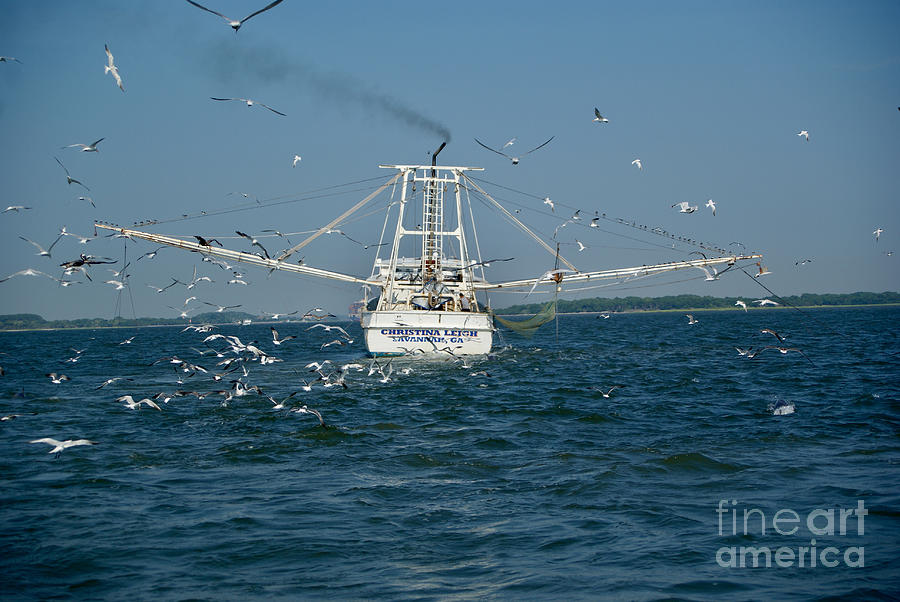 Tybee Island Fishing Boat Photograph by Annamaria Frost