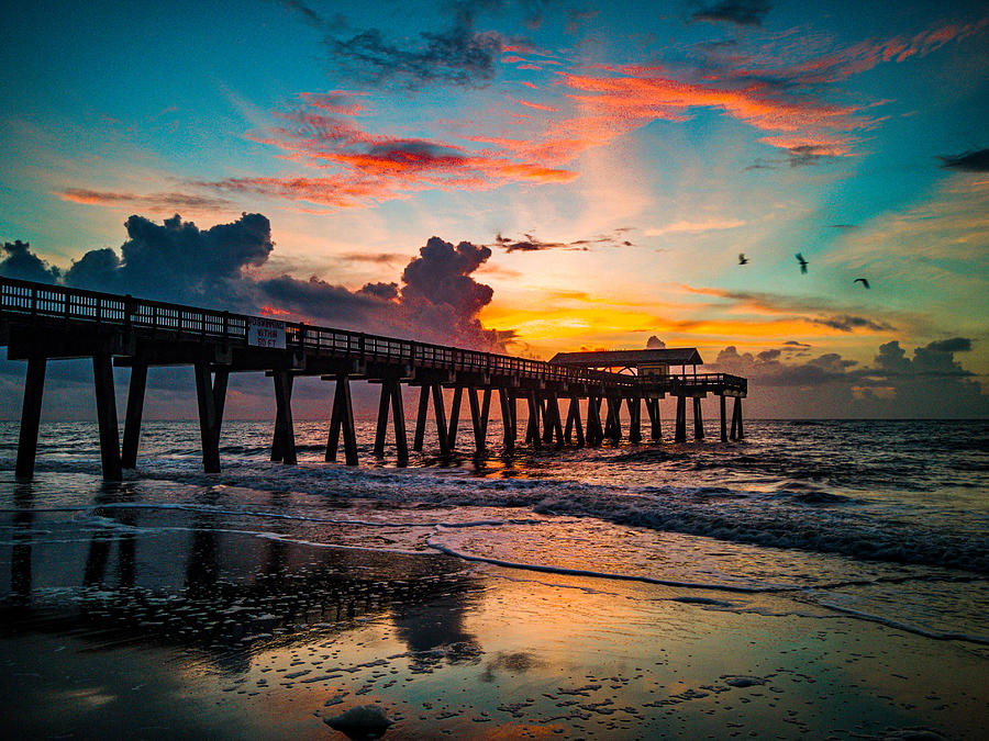 Tybee Island Three Little Birds Photograph by Danny Mongosa - Fine Art ...