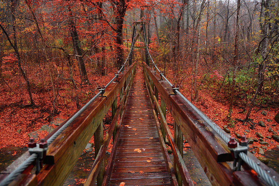 Tye River Appalachian Trail Bridge 3 Photograph by Raymond Salani III