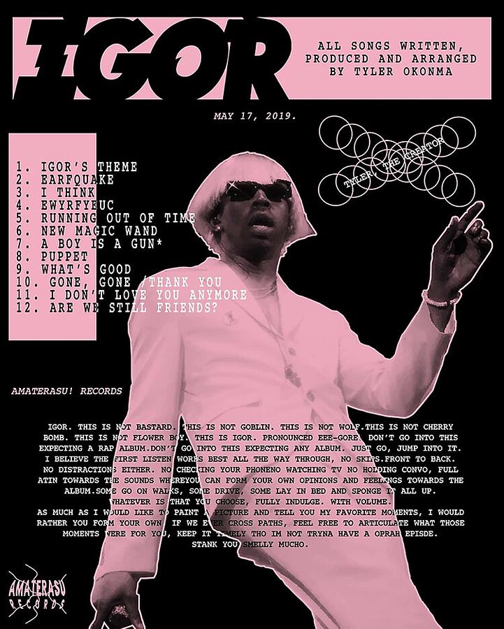 Frank Ocean Digital Art - Tyler Igor Poster by Wendy Mendel