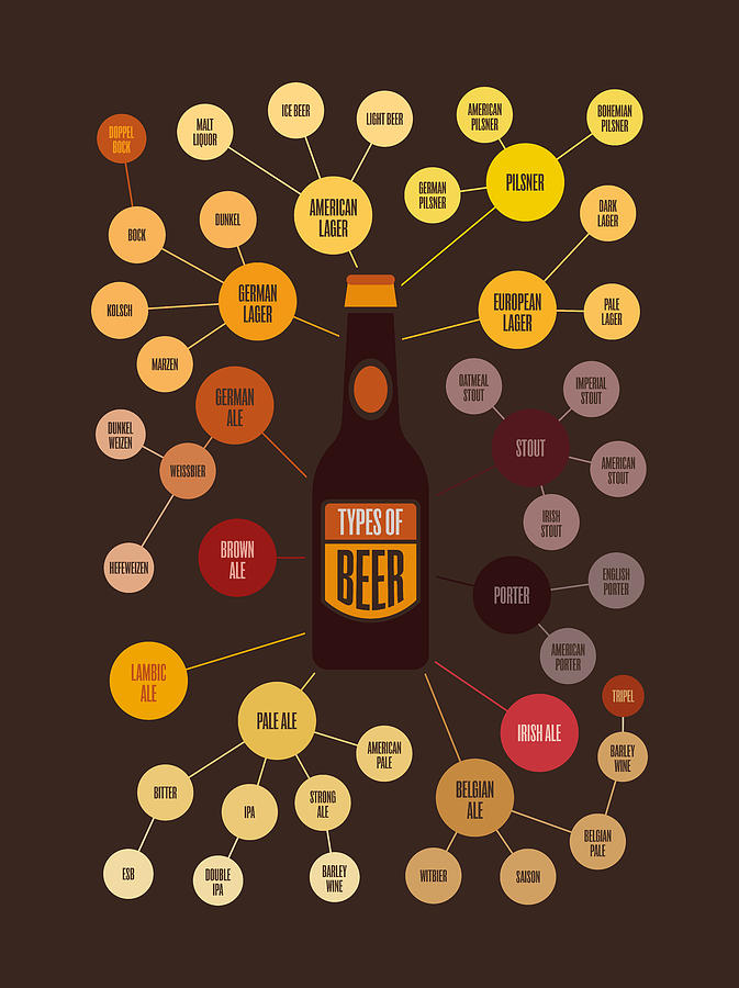 Types of Beer Infographic Digital Art by Penny And Horse - Fine Art America