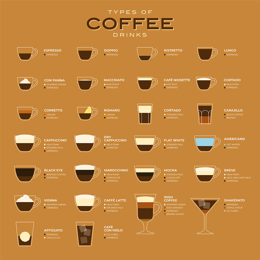 Types of coffee vector illustration. Infographic of coffee types and their preparation. Coffee house menu. Flat style. Drawing by Discan
