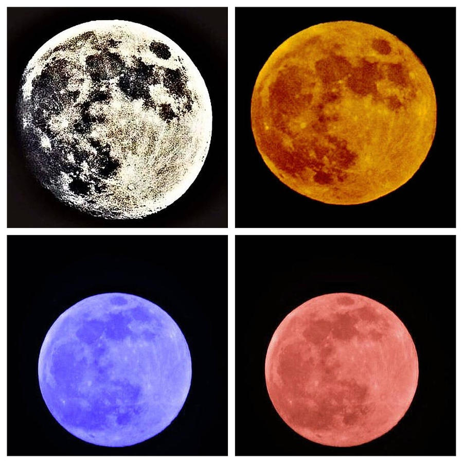 Kinds Of Moons