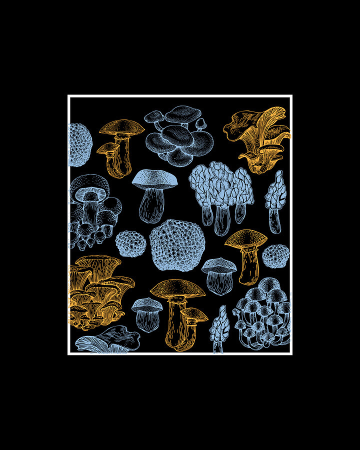 Types Of Mushrooms Mushroom Collecting Fungi Digital Art by Moon Tees